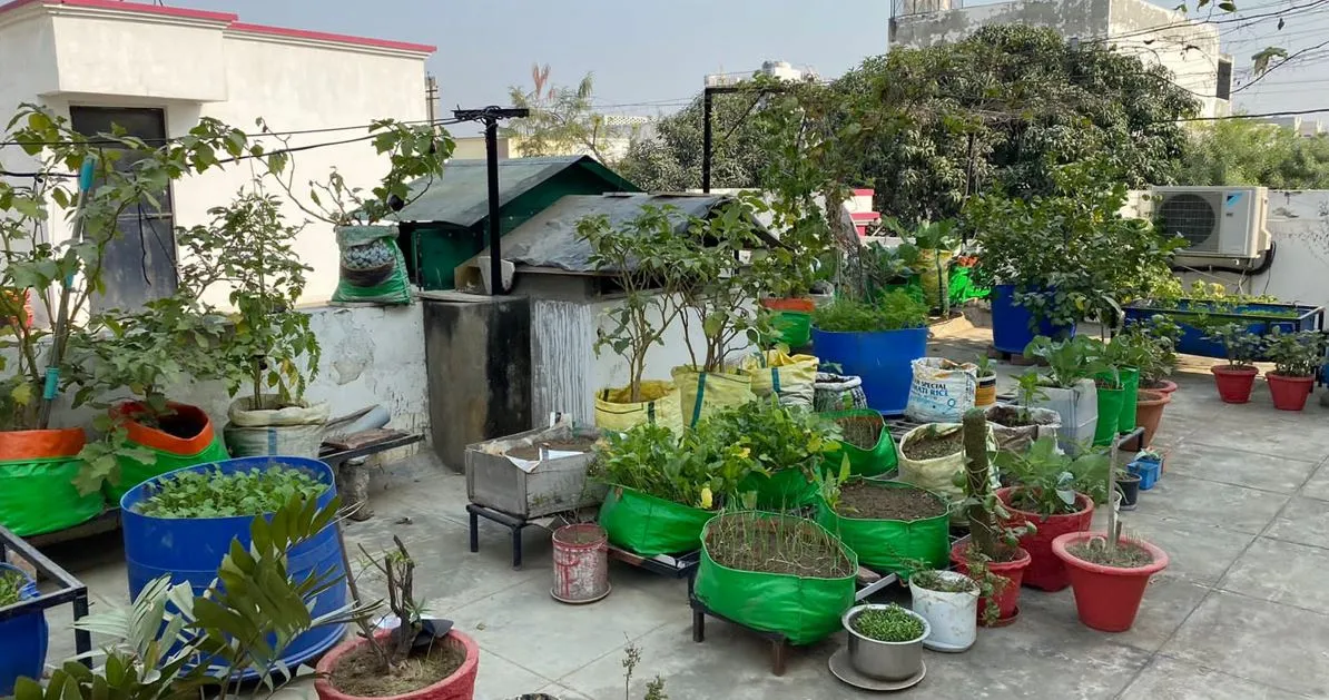 बरेली: यूट्यूब से सीखकर छत पर बनाई सेहतमंद बगिया, सुनीता वर्ष 2020 से छत पर कर रहीं किचन गार्डन