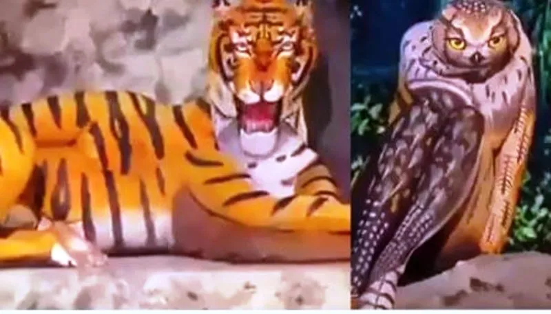 ये जानवर है या इंसान? Video देख हो जाएंगे हैरान, पहचान कौन!