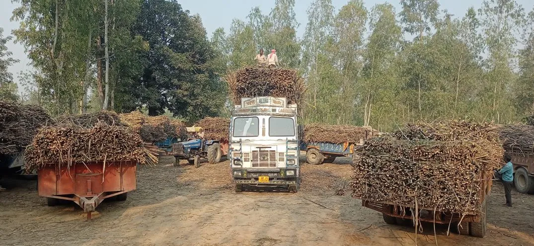 बरेली: नया छोड़िए पुराने सत्र का भी भुगतान नहीं कर रहीं चीनी मिलें