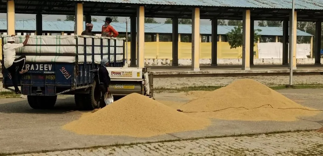 बरेली: नहीं बढ़ रही धान खरीद तो कैसे पूरा होगा लक्ष्य
