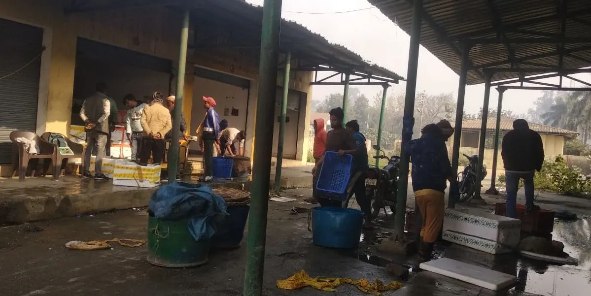 बरेली: मंडी प्रशासन की सख्ती, संदल खां में नहीं लगा मछली बाजार