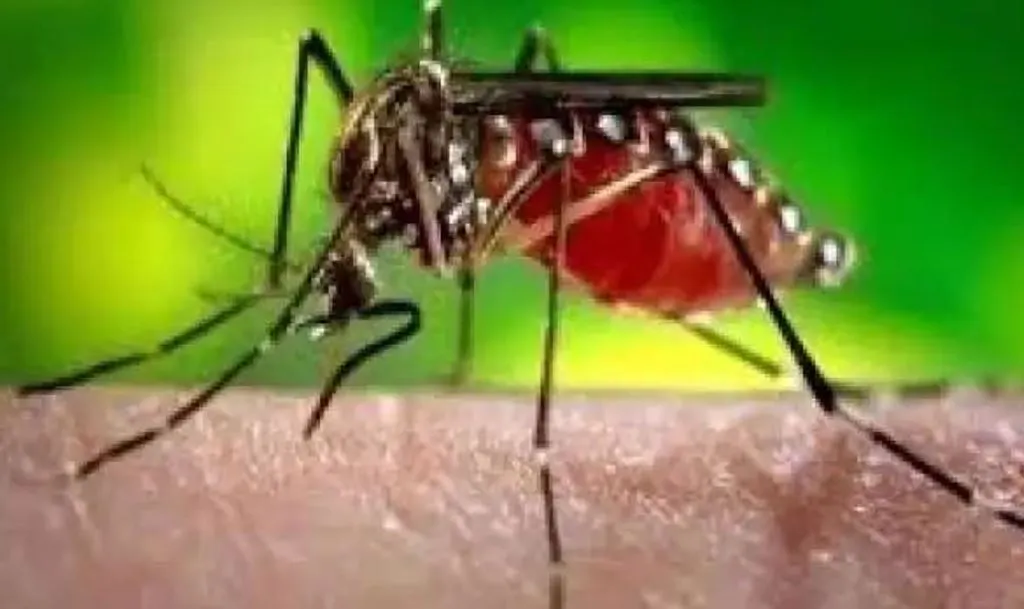 बरेली: मलेरिया, डेंगू प्रभावित इलाकों का शासन की टीम करेगी सर्वे