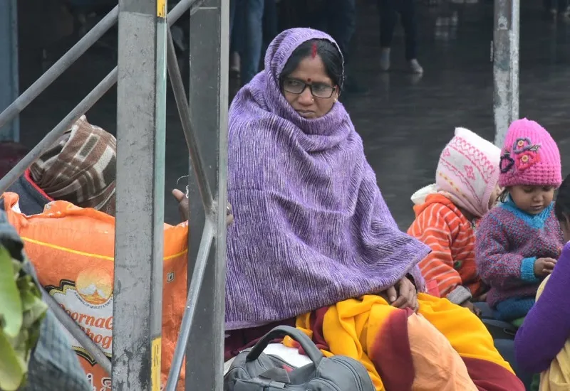 मुरादाबाद : अभी और बढ़ेगी ठंड, कोहरा भी सताएगा