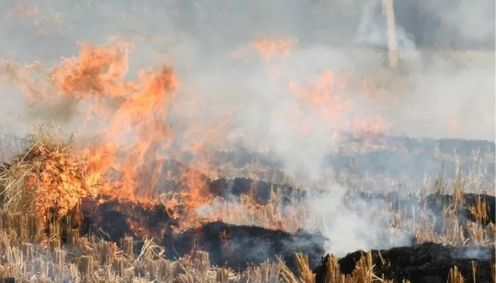 Kanpur News : तहसीलों में बनेंगे बायो फ्यूल और कंप्रेस्ड गैस, एसडीएम जमीन उपलब्धता को लेकर कराएंगे सर्वे