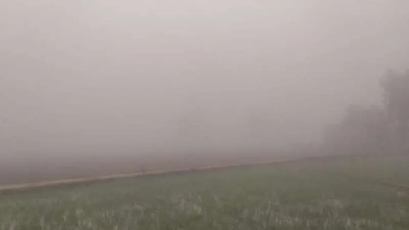 रामपुर: शीतलहर से कांपे लोग, ढकिया में ठंड से वृद्धा की मौत