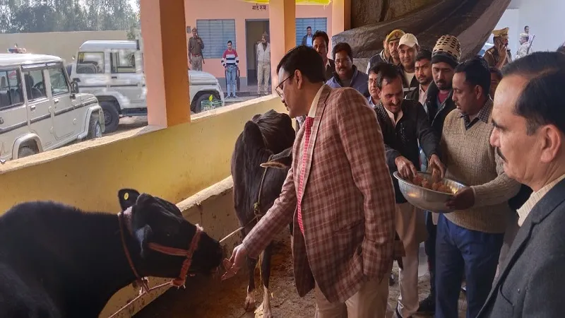  मंडलायुक्त ने किया नवनिर्मित भवन एवं कान्हा गोशाला का निरीक्षण,  अधिकारियों को दिए गायों की विशेष देखभाल के निर्देश 