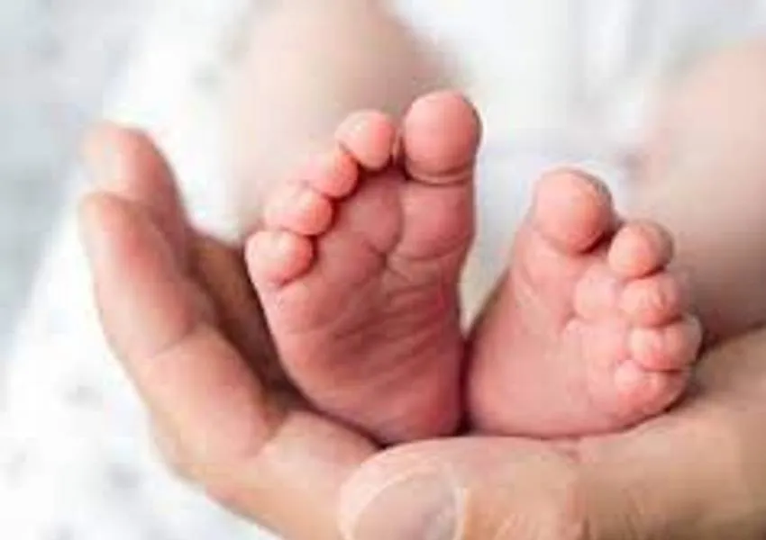 गौतम बुद्ध नगर: कड़ाके की ठंड में लावारिस मिली नवजात बच्ची, उपचार के लिए अस्पताल में भर्ती