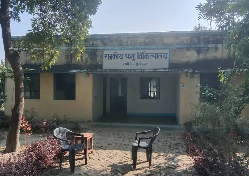 अयोध्या: राजकीय पशु चिकित्सालय में डॉक्टर न फार्मासिस्ट, कैसे हो पशुओं का इलाज