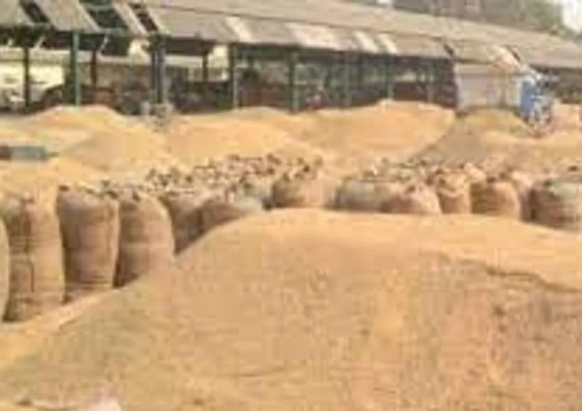 अयोध्या: धान तौलवाया 33 क्विंटल, भुगतान मिला 30 क्विंटल का, महिला किसान ने समिति पर लगाया आरोप