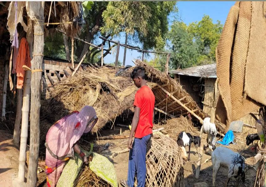 रायबरेली: शार्ट सर्किट से लगी आग, गोवंश की जलकर मौत, लाखों की क्षति