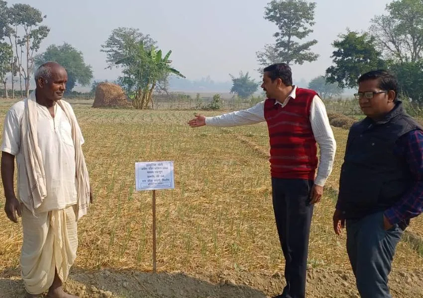 बहराइच: किसान के खेत में पहुंचकर कृषि वैज्ञानिकों ने देखी लहसुन की खेती, दी ये सलाह