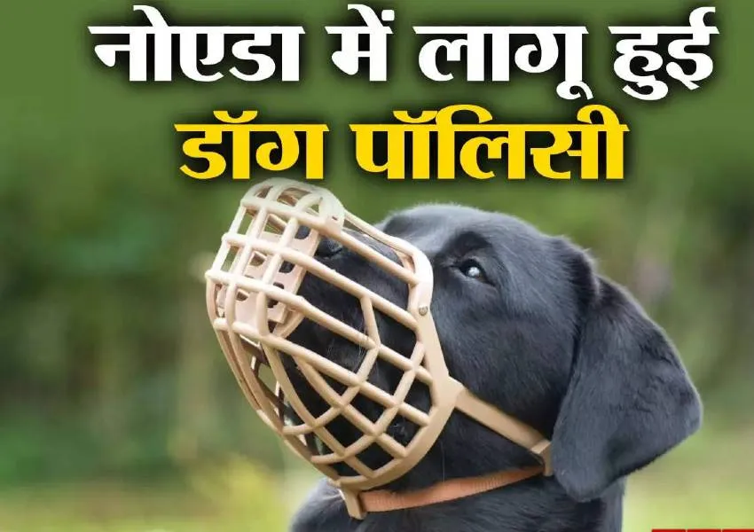 नोएडा में डॉग पॉलिसी हुई लागू, नियमों का पालन न करने पर अब लगेगा जुर्माना 
