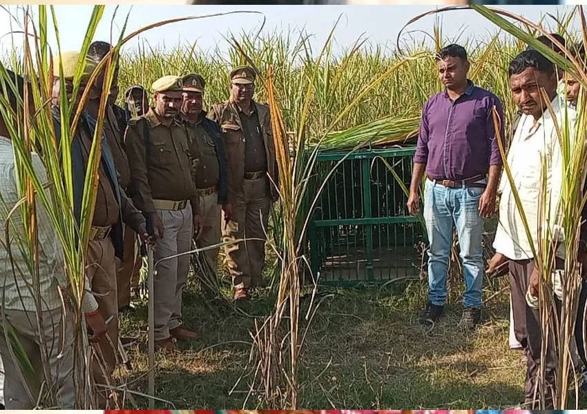 बहराइच: तेंदुए को पकड़ने के लिए वन विभाग ने लगाया पिंजरा, दो दिन पूर्व बालक को बनाया था शिकार
