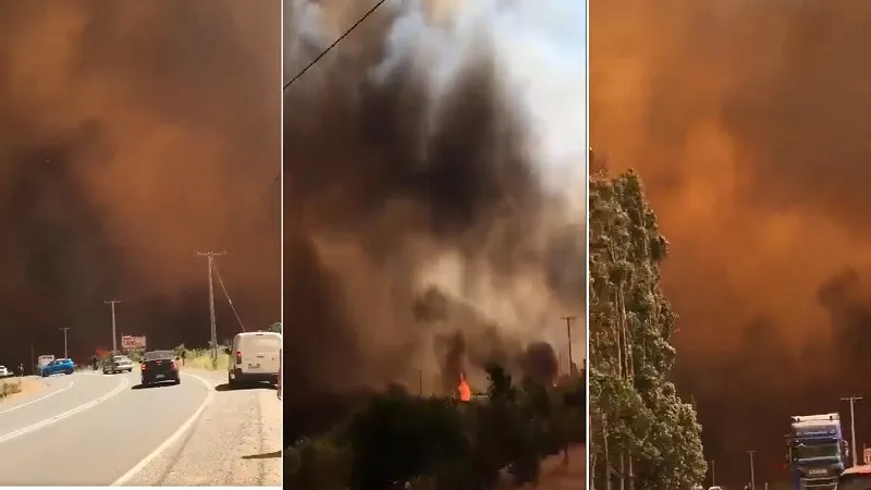 चिली के जंगलों में लगी आग, 46 घर जलकर राख... 184 लोग बेघर 