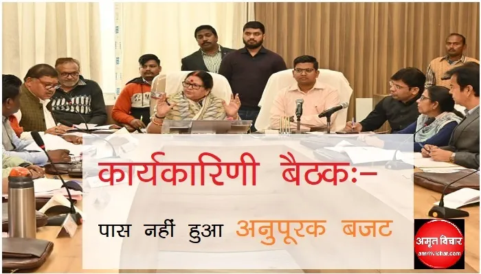 Kanpur News: कारगिल पार्क में अब 10 रुपये में करिये बोटिंग, अनुपूरक बजट नहीं हो सका पास