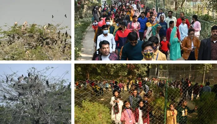क्रिसमस पर दस गुना अधिक दर्शक पहुंचे Kanpur Zoo, जानवरों की अठखेलियां देख खूब हुए रोमांचित