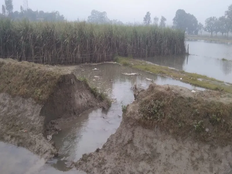 बहराइच: नहर कटने से खेतों में भरा पानी, सैकड़ों बीघा फसल हुई बर्बाद