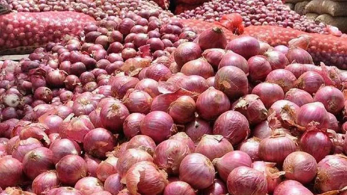 प्याज की कीमतों को स्थिर करने के लिए चालू वर्ष में रिकाॅर्ड खरीदारी : सरकार 