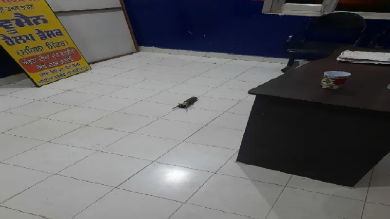 पंजाब के तरन तारन में पुलिस थाने पर गिरा रॉकेट, हादसे में कोई हताहत नहीं 