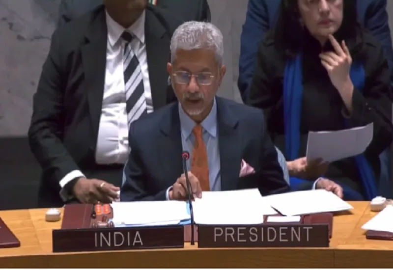 'बहुपक्षीय प्लेटफॉर्मों का हो रहा दुरुपयोग', PAK ने UNSC में उठाया कश्मीर का मुद्दा तो भारत ने लगाई फटकार