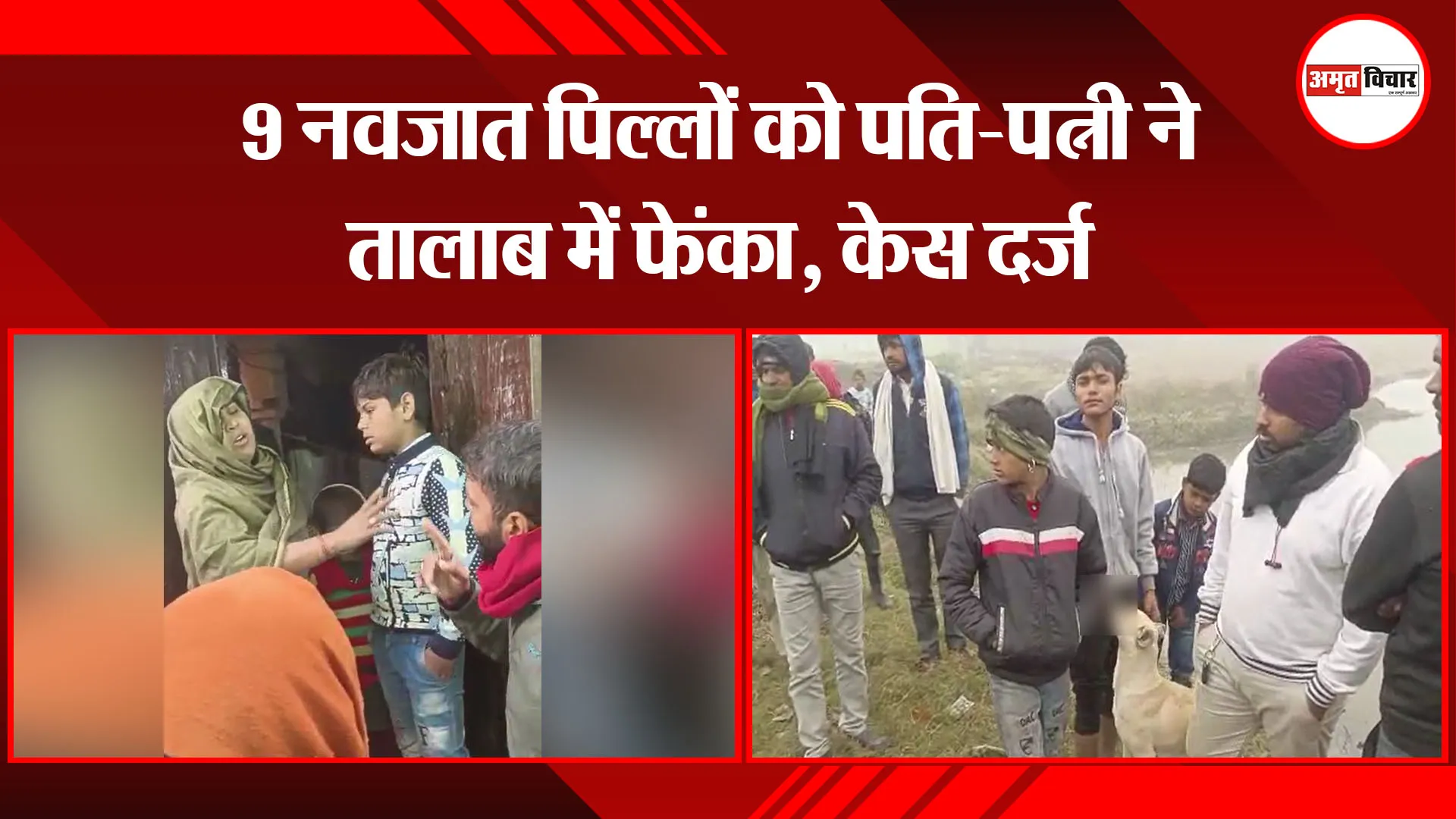 बदायूं: 9 नवजात पिल्लों को पति-पत्नी ने तालाब में फेंका, केस दर्ज