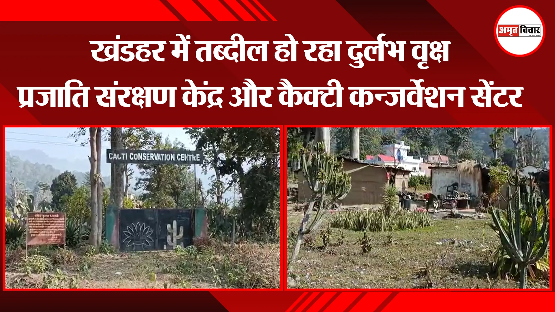 हल्द्वानी: खंडहर में तब्दील हो रहा दुर्लभ वृक्ष प्रजाति संरक्षण केंद्र और कैक्टी कन्जर्वेशन सेंटर 