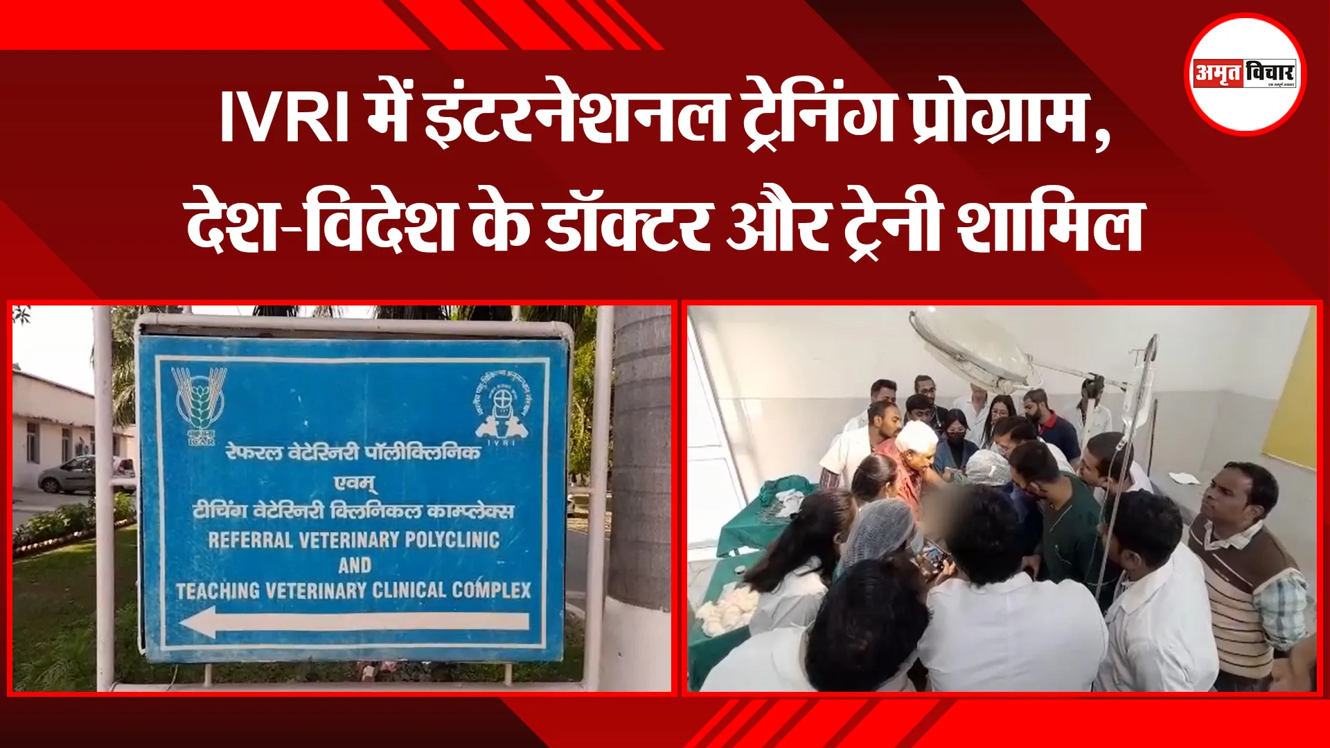 बरेली: IVRI में इंटरनेशनल ट्रेनिंग प्रोग्राम, देश-विदेश के डॉक्टर और ट्रेनी शामिल