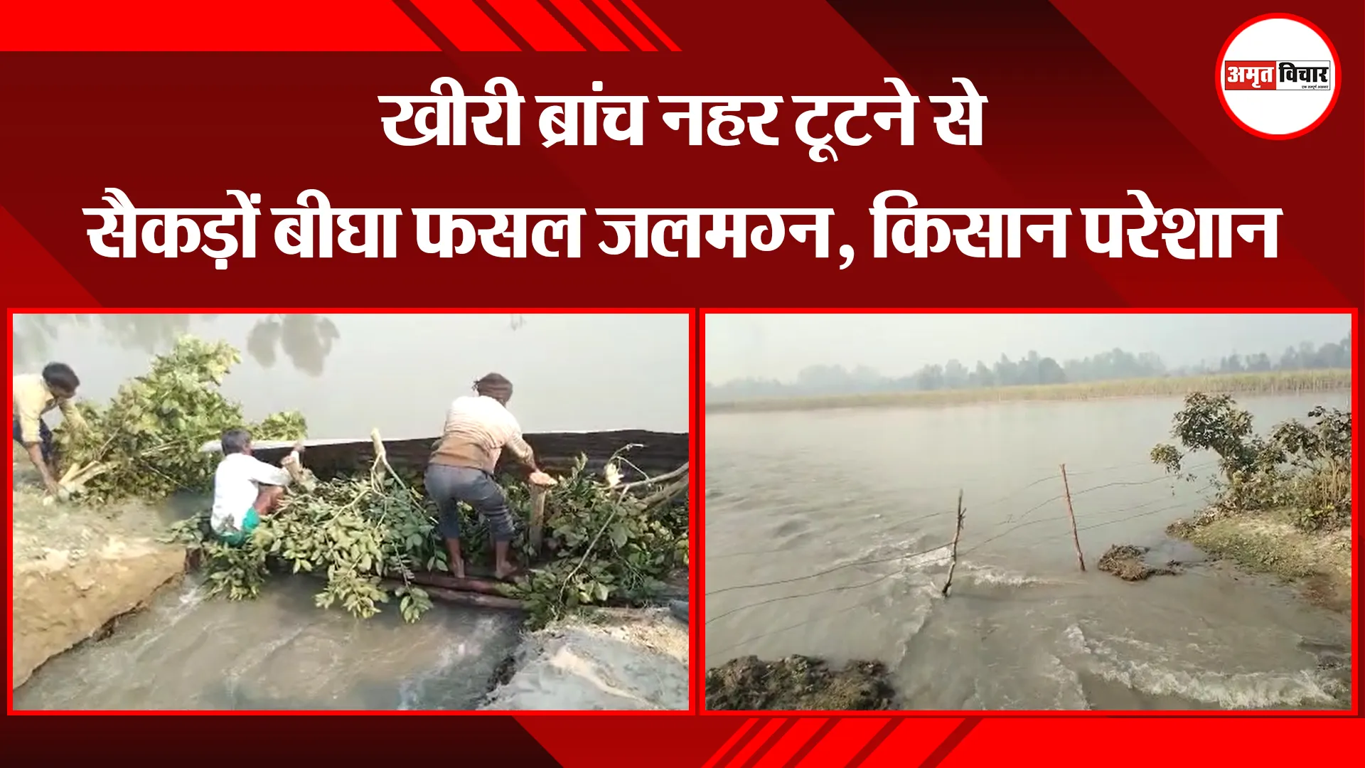 सीतापुर: खीरी ब्रांच नहर टूटने से सैकड़ों बीघा फसल जलमग्न, किसान परेशान