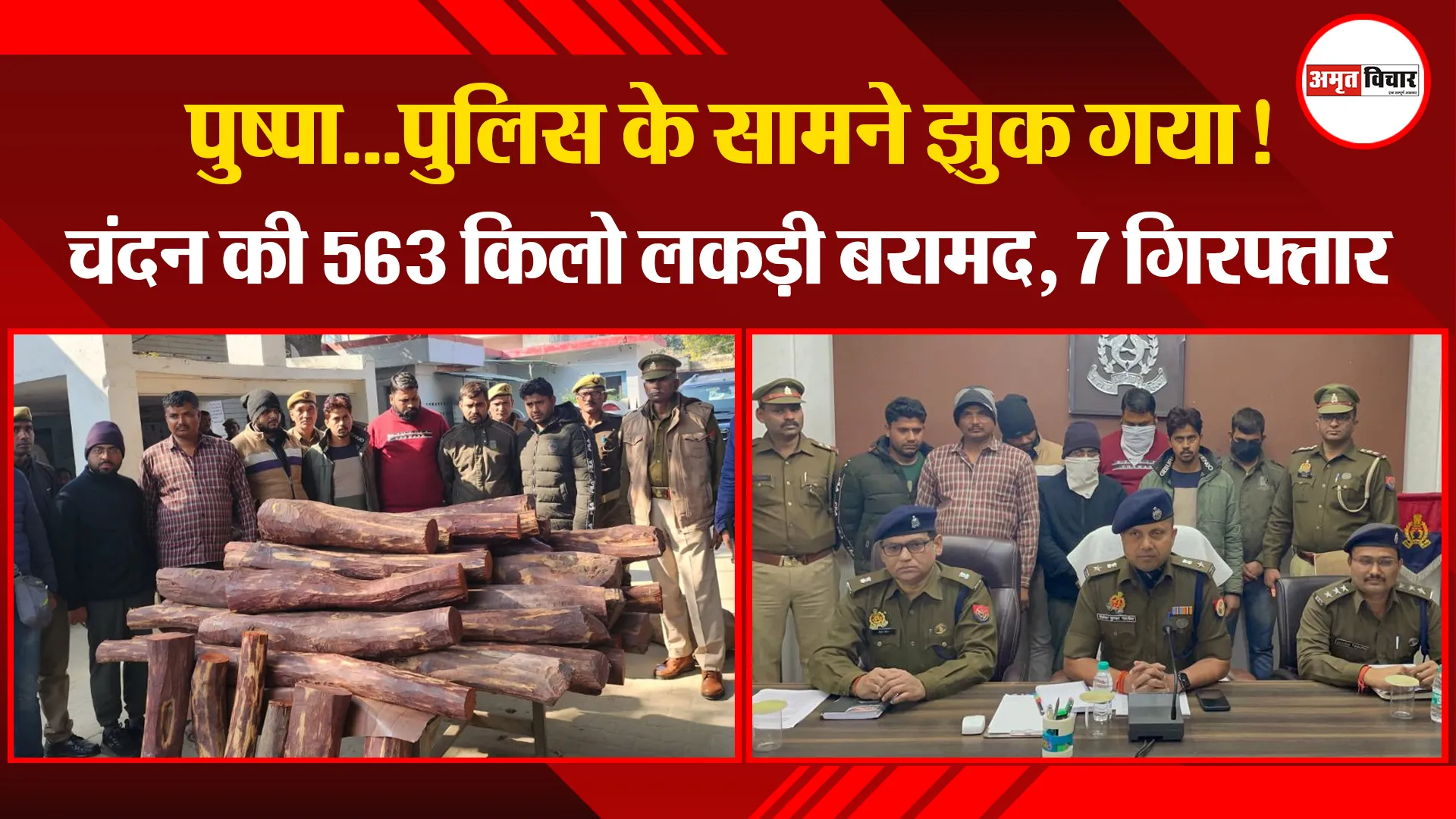 मथुरा: पुष्पा...पुलिस के सामने झुक गया! चंदन की 563 किलो लकड़ी बरामद, 7 गिरफ्तार