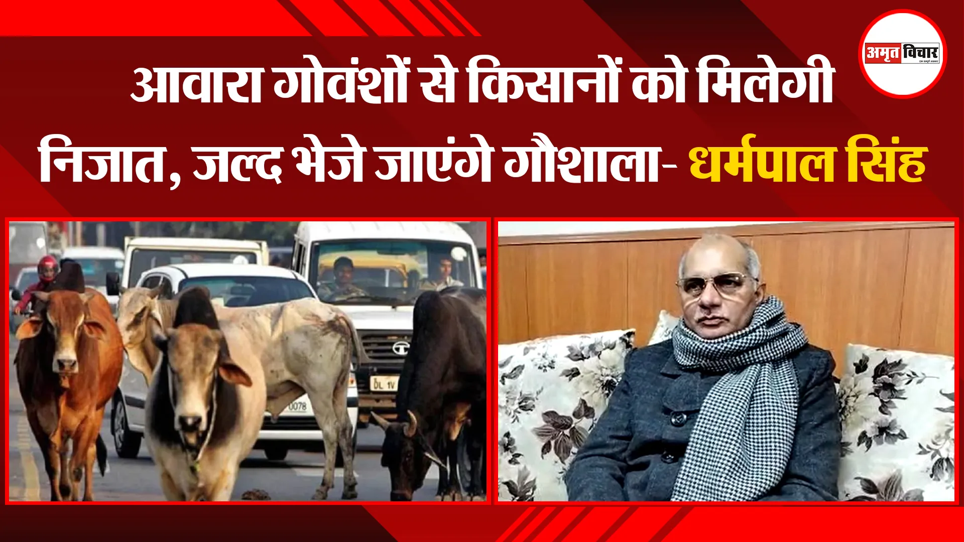 बरेली: आवारा गोवंशों से किसानों को मिलेगी निजात, जल्द भेजे जाएंगे गौशाला- धर्मपाल सिंह