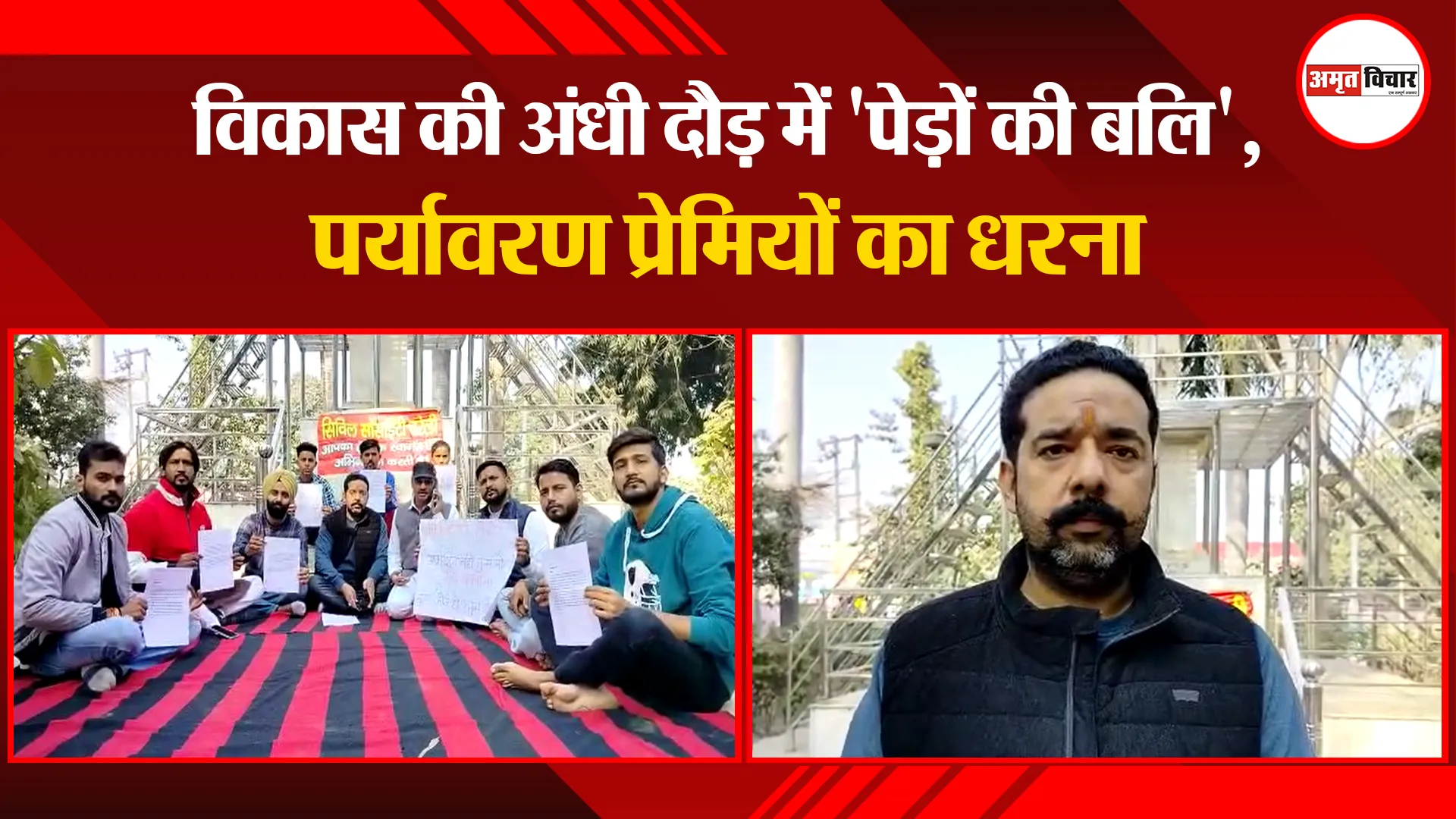 बरेली: विकास की अंधी दौड़ में 'पेड़ों की बलि', पर्यावरण प्रेमियों का धरना