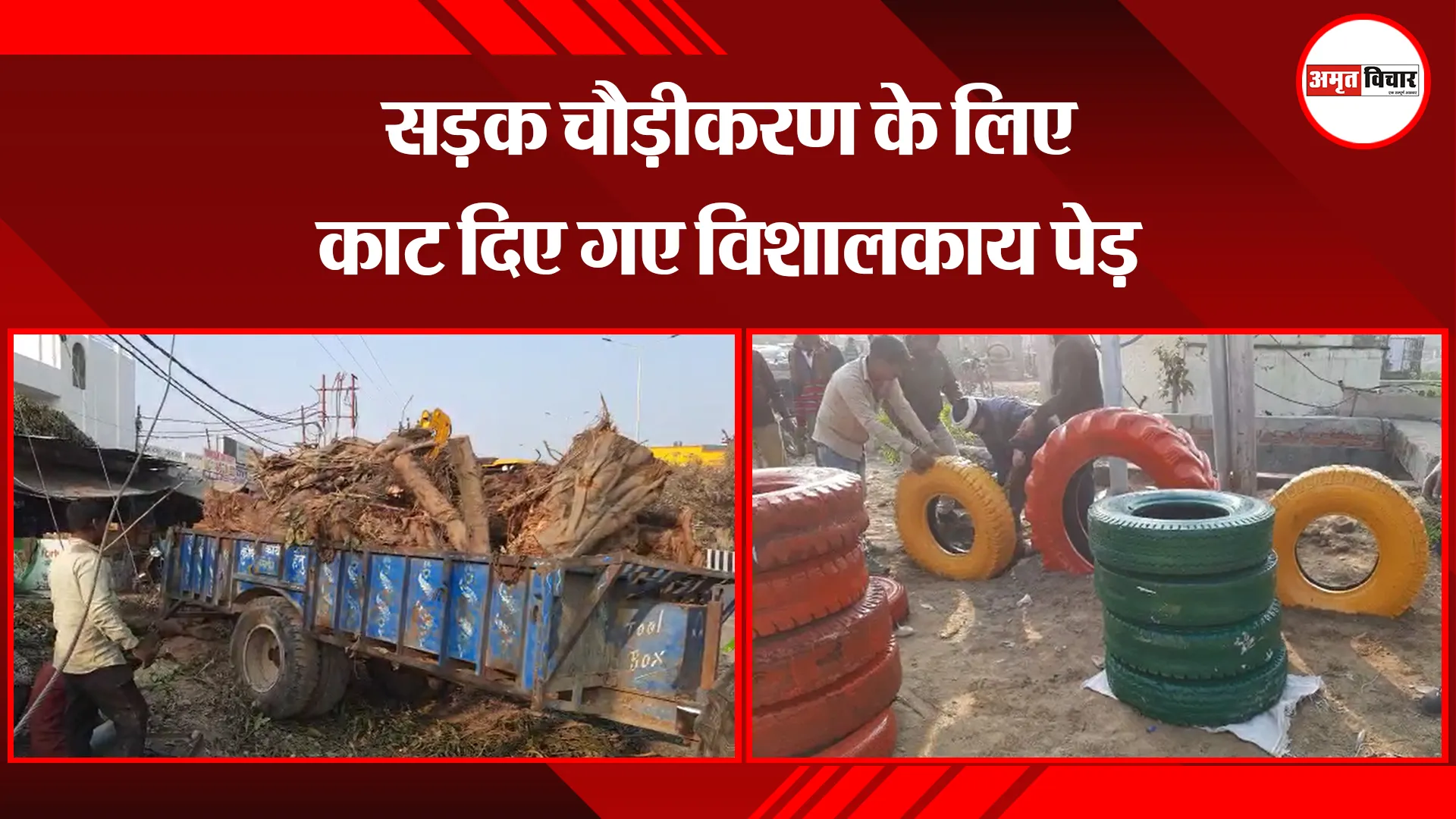 बरेली: सड़क चौड़ीकरण के लिए काट दिए गए विशालकाय पेड़