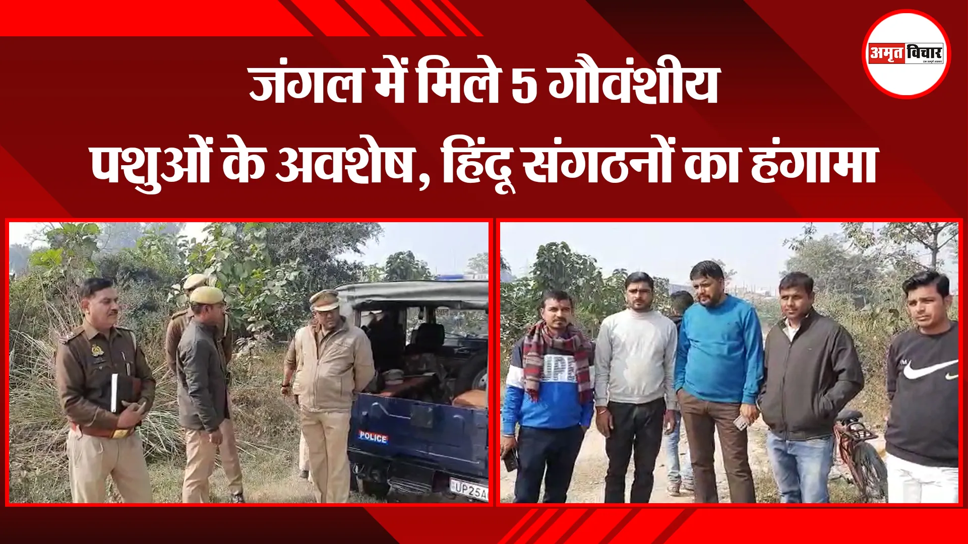 बरेली: जंगल में मिले 5 गौवंशीय पशुओं के अवशेष, हिंदू संगठनों का हंगामा