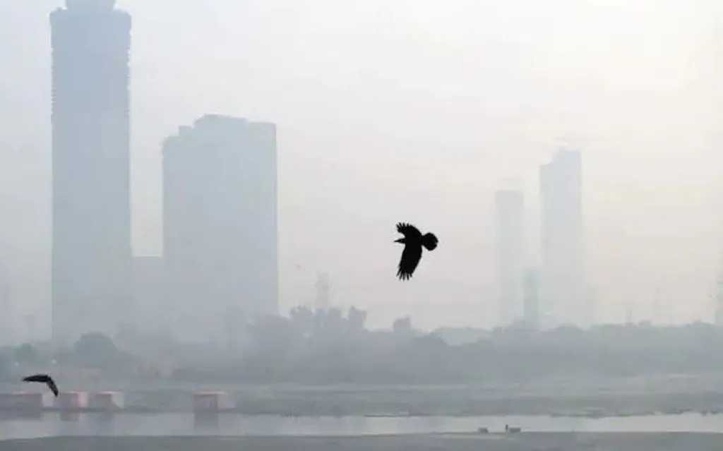 आपके दिल और फेफड़ों के लिए बेहद खतरनाक है विंटर स्मॉग, ऐसे रखें अपनी सेहत का ख्याल