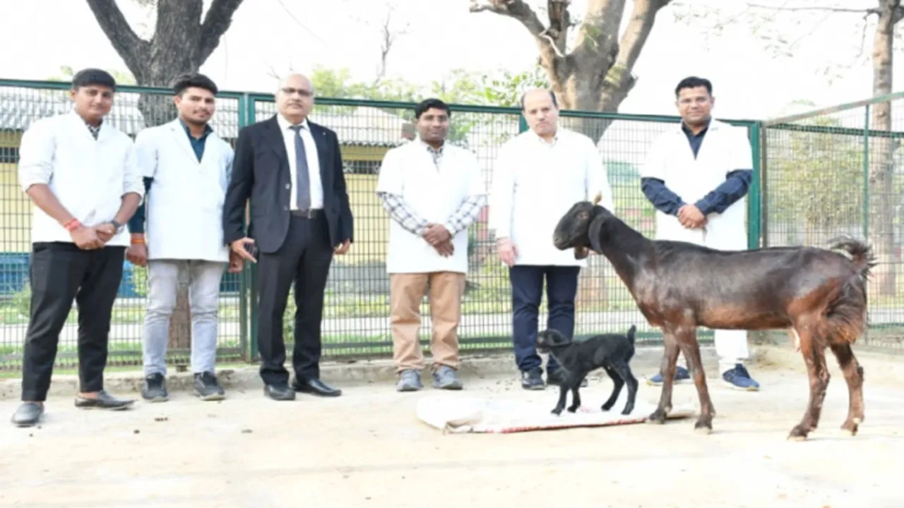 मथुरा: Scientists ने Frozen Semen से बकरी का कृत्रिम गर्भाधान कराने में सफलता हासिल की 