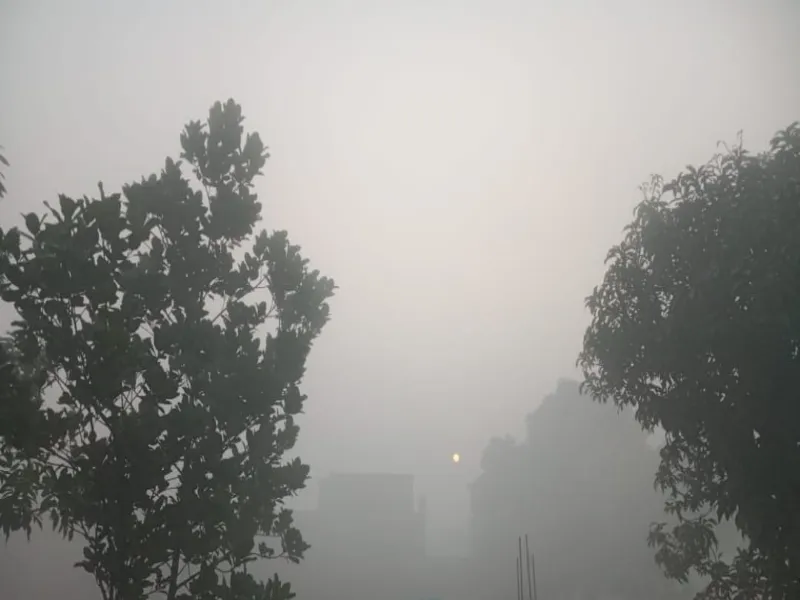 जौनपुर: कोहरे की चादर में लिपटा जनपद, शुरू हुआ ठंड का कहर