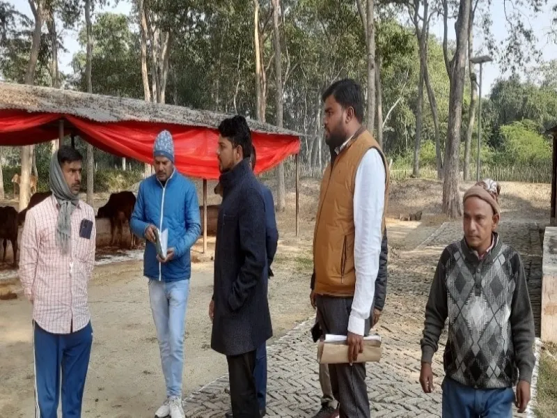 सुल्तानपुर: सीडीओ ने डोमनपुर गौशाला का किया निरीक्षण, ठंड से बचाव के दिए निर्देश