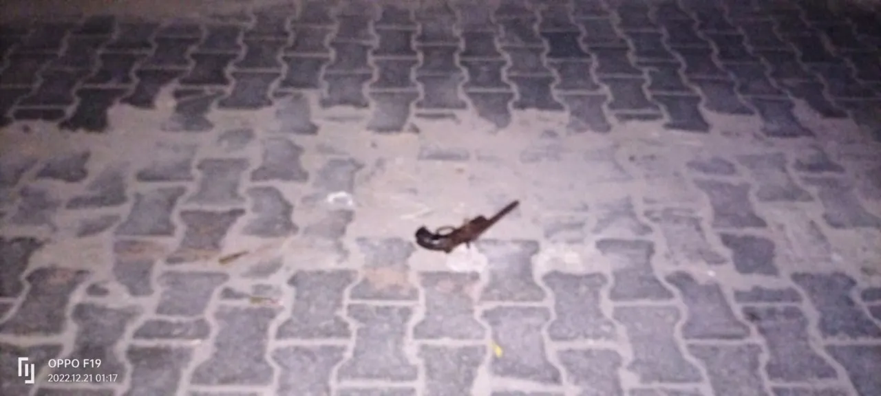 WhatsApp Image 2022-12-21 at 2.23.27 PM