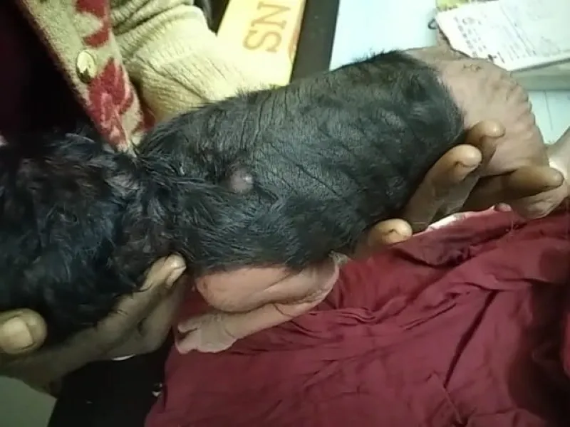 WhatsApp Image 2022-12-28 at 18.47.58