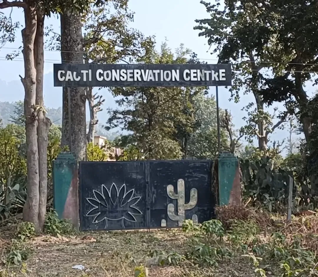 हल्द्वानी: खंडहर में तब्दील हो रहा दुर्लभ वृक्ष प्रजाति संरक्षण केंद्र और कैक्टी कन्जर्वेशन सेंटर 