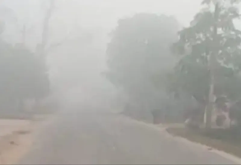 अयोध्या : सर्द हवाओं से बढ़ी गलन, जन जीवन अस्त व्यस्त