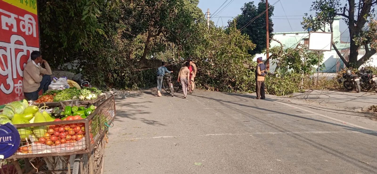 हल्द्वानी: चोरगलिया रोड पर टूटी पेड़ की टहनी, बचा कार सवार परिवार