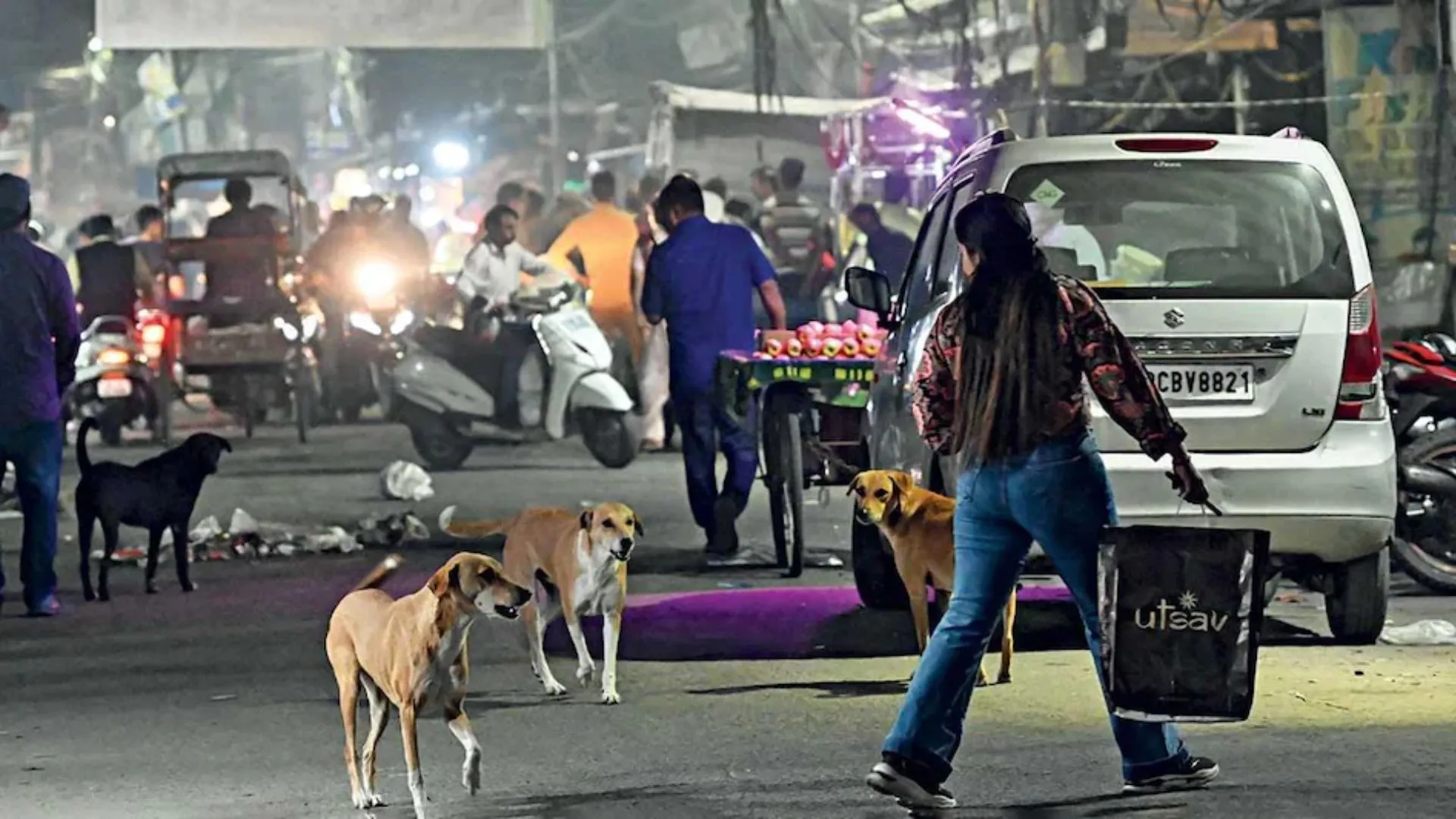 साल 2022 में किन राज्यों में कुत्तों के काटने के सबसे अधिक मामले आए सामने?, यहां देखिए 