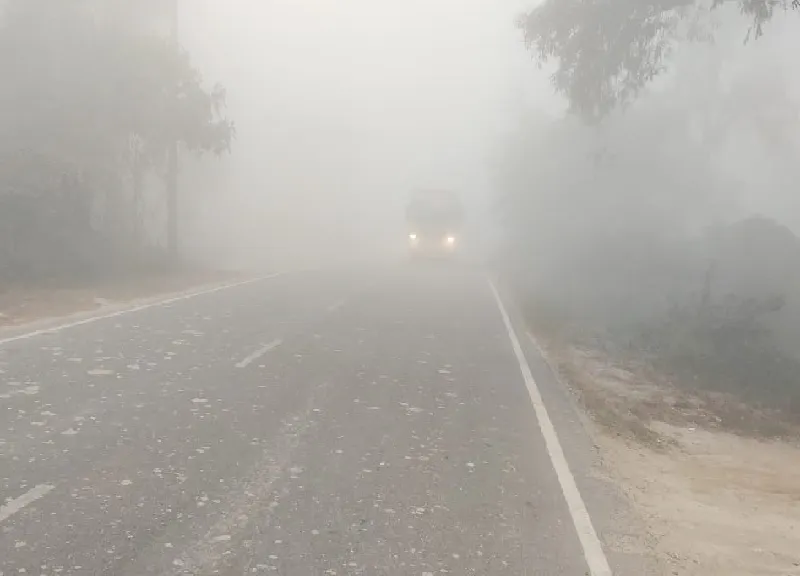 रायबरेली : कोहरे  ने बढ़ाई ठिठुरन, छाई रही धुंध