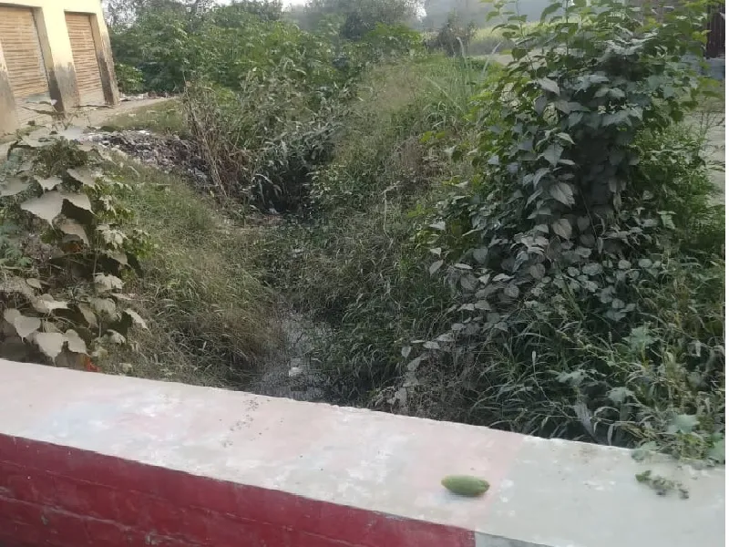 अयोध्या : माइनर में पानी की जगह झाड़ झंखाड़, कैसे हो खेतों की सिंचाई