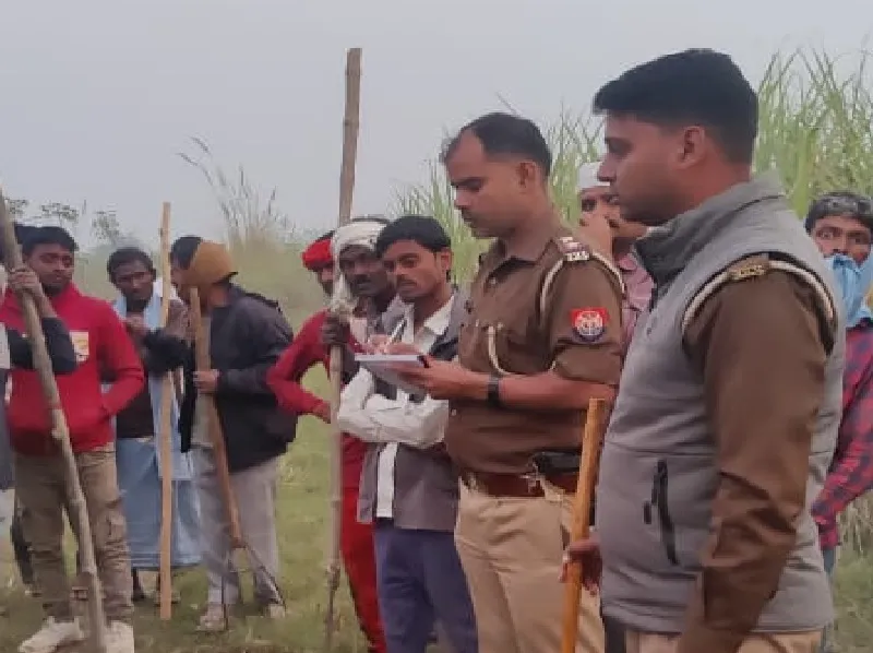 बहराइच : तेंदुए के हमले से किशोर की मौत, गन्ने के खेत में मिला शव