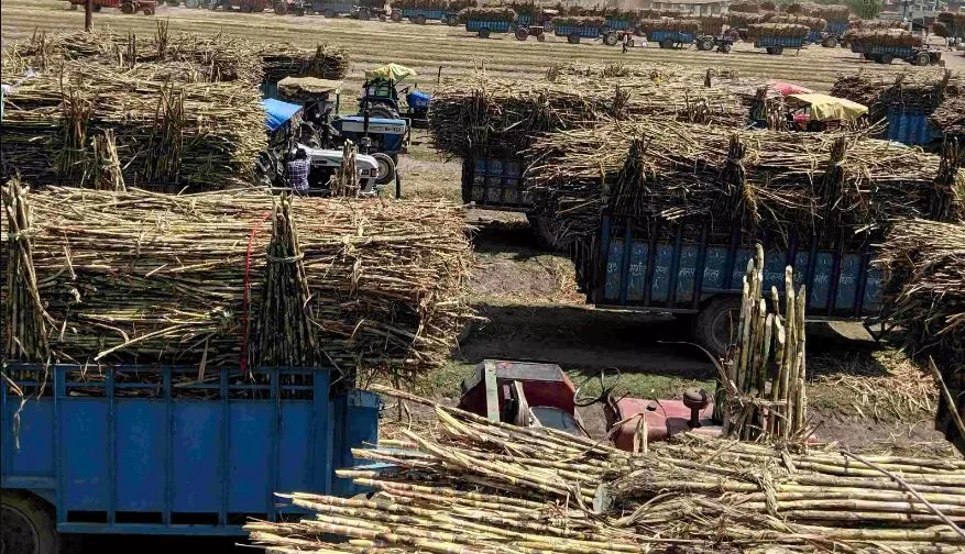 बरेली: मिलों के गेट पर जलाएं अलाव, पीने को दें गुनगुना पानी- गन्ना आयुक्त