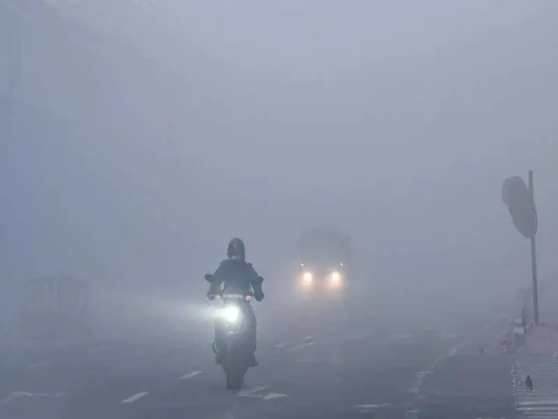 लखनऊ: घने कोहरे और Cold Day का अलर्ट जारी 