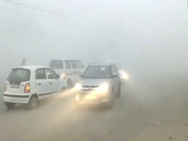 आगरा में कोहरे के चलते Expressway पर भिड़ीं कई गाड़ियां 