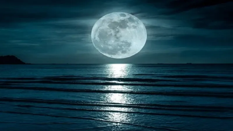 Blue Planet II: 'यह कहना गलत है कि हम गहरे समुद्र की तुलना में चंद्रमा के बारे में अधिक जानते हैं' 